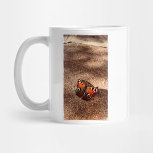 Cool Butterfly photo on a rocky ground Mug